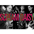 Scream Daisy