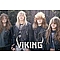 Viking - They Raped The Land lyrics