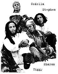 Ziggy Marley &amp; The Melody Makers