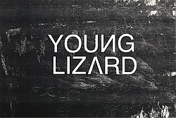Young Lizard