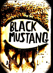Black Mustangs