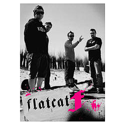 Flatcat