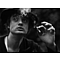 Peter Doherty - Last of The English Roses текст песни