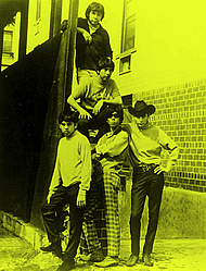 Questionmark &amp; The Mysterians