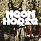 Neon Horse - Haven&#039;t Sinned In Years! lyrics