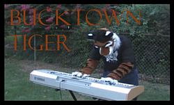 Bucktown Tiger