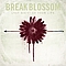 Break Blossom