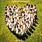 Love Unlimited Orchestra - Love&#039;s Theme lyrics