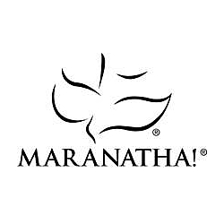 Maranatha Promise Band